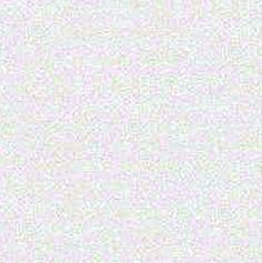 Click the image below to view a detail of the shell color